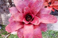 DSCF0111